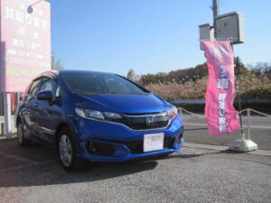 平成30年式　フィット