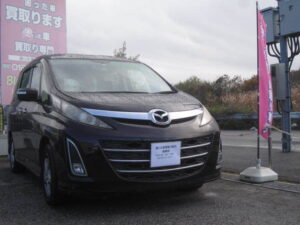 平成24年式　ビアンテ